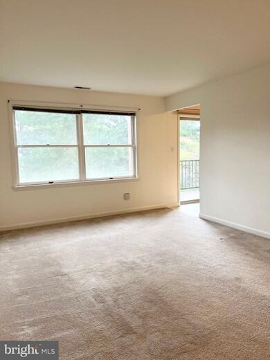 300 Chapel Ct, Walkersville, MD 21793 - photo 5