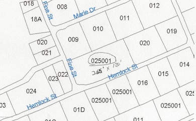 Petes Place Map 2020-11-02_173313