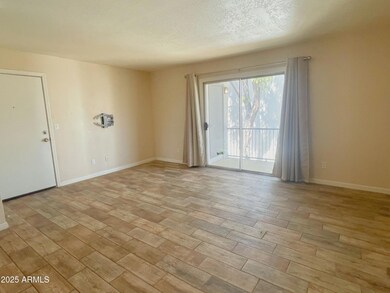 740 W Elm St unit 243, Phoenix, AZ 85013 - photo 3