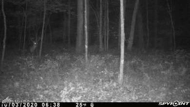 1815 12 Mile Rd, Bitely, MI 49309 - photo 4