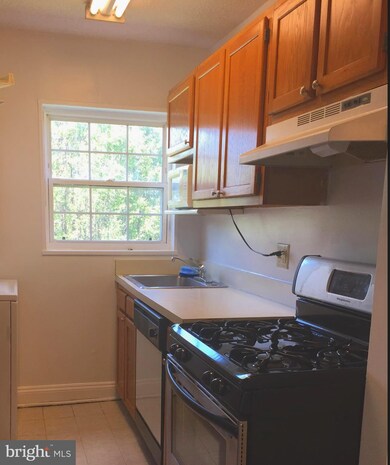 2241 Farrington Ave unit 301, Alexandria, VA 22303 - photo 5