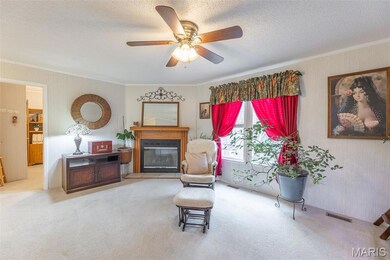 858 County Road 420, Poplar Bluff, MO 63901 - photo 6