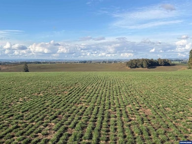 39986 Gisler Rd, Scio, OR 97374 - photo 7