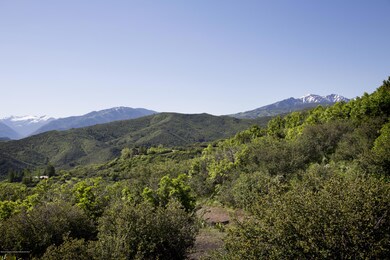 IMG_5170