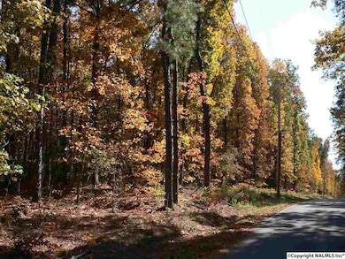 5025 Willow Dr SE, Huntsville, AL 35803 - photo 4