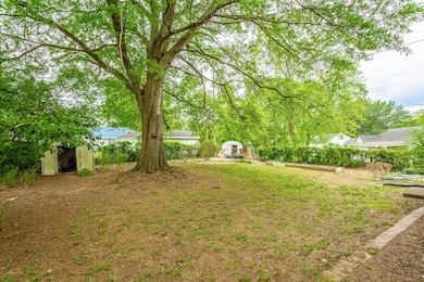 Large level backyard