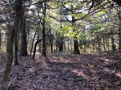 0 Sulphur City & Stokenbury Rd unit 1131158, Elkins, AR 72727 - photo 2