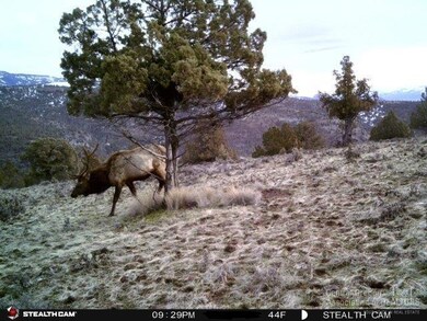 0 Shop Gulch unit 201804724, Mount Vernon, OR 97865 - photo 2