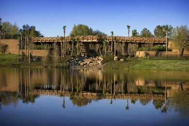 30617 Lipizzan Terrace, Mount Dora, FL 32757 - photo 2