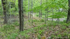 0 Hessinger and Lare Rd, Youngsville, NY 12791 - photo 2