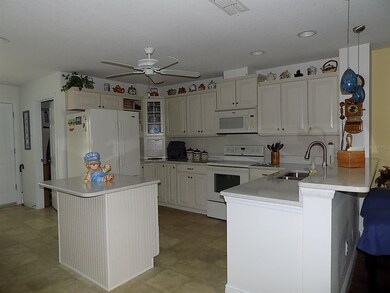 21643 Court, Mount Dora, FL 32757 - photo 4