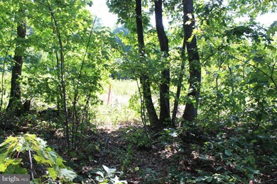 0 Brush Leaf Ln unit VASH121532, Mount Jackson, VA 22842 - photo 7