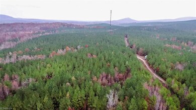 2346 Poole Town Rd, Asheboro, NC 27205 - photo 7