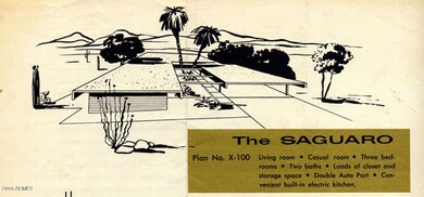 Saguaro Promo