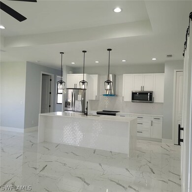 3011 NE Juanita Place, Cape Coral, FL 33909 - photo 3