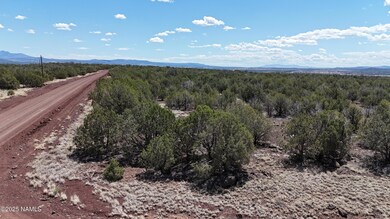 3288/3236 W Cumberland Rd, Williams, AZ 86046 - photo 6