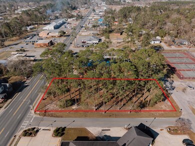 0 W Parker St unit 22975, Baxley, GA 31513 - photo 4