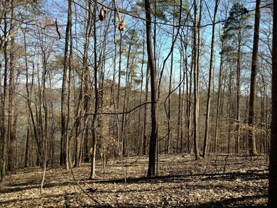 0 L- 258 Big Ridge Point unit 1013384, Sharps Chapel, TN 37866 - photo 4