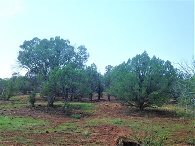 108 Camp Rd, Ash Fork, AZ 86320 - photo 3