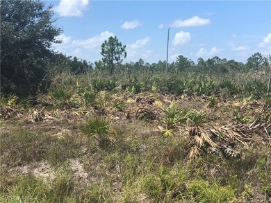 313 Wells Ave, Lehigh Acres, FL 33936 - photo 3