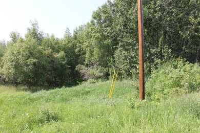 southern view