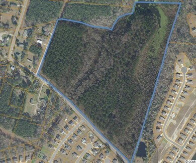 TBD Hemingway Chapel Rd, Conway, SC 29526 - photo 7