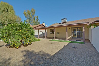 Perfect size backyard