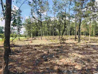 TBD Tract A S Carolina 19, Loris, SC 29569 - photo 5