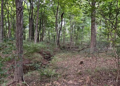 ac Richey Rd, Felicity, OH 45120 - photo 4