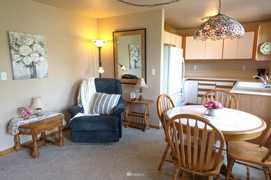 4242 Wintergreen Cir unit 265, Bellingham, WA 98226 - photo 5