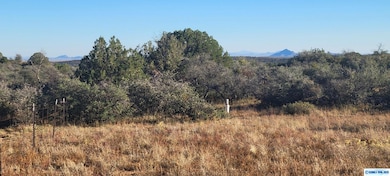 Lot 3A Cattlemans Trail, Silver City, NM 88061 - photo 5