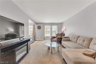 26609 N Park Blvd unit 26609, Olmsted Falls, OH 44138 - photo 6