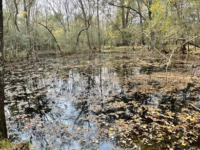 26803 Apache Trail, Magnolia, TX 77354 - photo 2