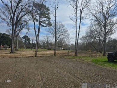 TBD Tiger Bend Rd, Baton Rouge, LA 70817 - photo 4