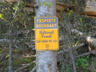 Grey Belle Quartz Hill Rd, Wise River, MT 59762 - photo 2