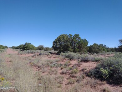 4253 Indian Bend Rd, Snowflake, AZ 85937 - photo 5