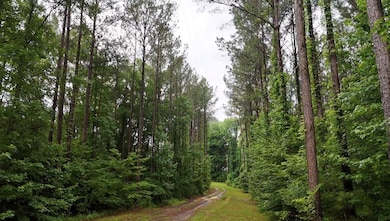 368 River Rd, Ariton, AL 36311 - photo 2