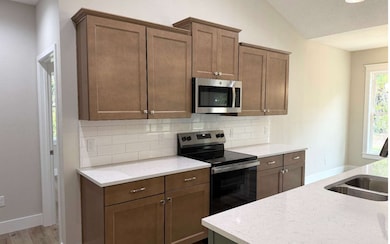 143 NW Geranium Ct, Lake City, FL 32055 - photo 3