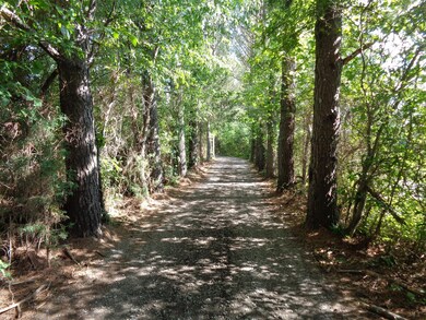 3555 Shores Rd, Murfreesboro, TN 37128 - photo 3