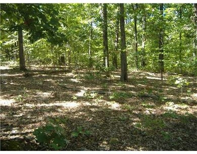 13 Drummore Dr, Bella Vista, AR 72715 - photo 3