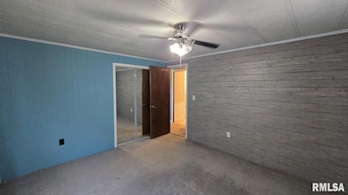 202 Evans St, Loami, IL 62661 - photo 7