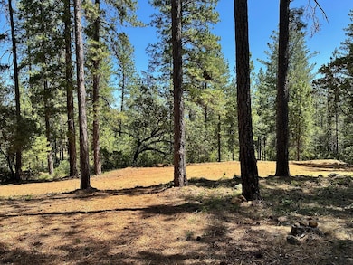 1815-Lot 397 E Summit View Dr, Meadow Vista, CA 95722 - photo 3