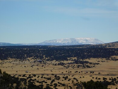 274 Deer Cir, Quemado, NM 87829 - photo 4