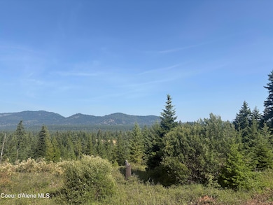 L5 Gemini Ln, Rathdrum, ID 83858 - photo 2