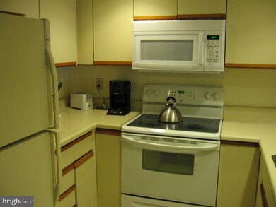 Thoreau Place Condominiums unit 425, Reston, VA 20191 - photo 6