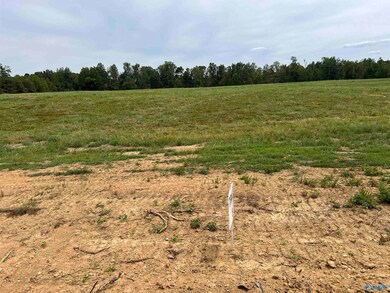 21534 Holland Rd, Athens, AL 35614 - photo 2