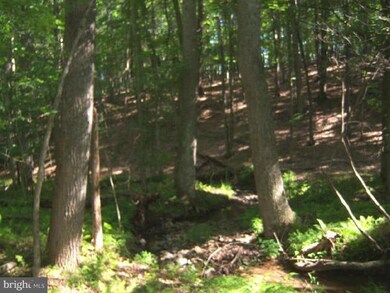 0 Magnolia Rd unit 1001180023, Great Cacapon, WV 25422 - photo 6