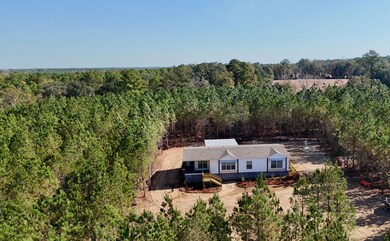 1262 Penny Morris Rd, Baxley, GA 31513 - photo 4