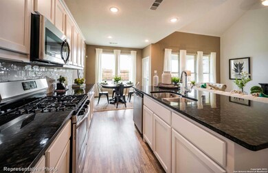 12260 Buckaroo Ranch, San Antonio, TX 78254 - photo 7