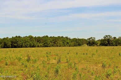 4.81ac Agricola Latonia Rd, Lucedale, MS 39452 - photo 3
